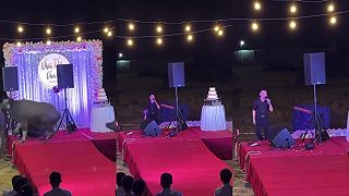 video Nevadí, šou pokračuje ďalej ..