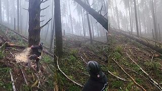 video Palicou do palice?