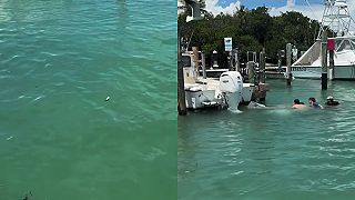 video Chalan na kanoe chcel chytiť na udicu veľkého tarpona