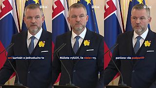 Prezident Peter Pellegrini odmieta podozrenia, podľa ktorých mali influenceri do