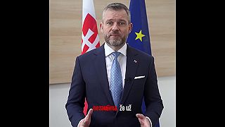 Vtedy vs. dnes: Pellegrini bojoval za referendum, dnes ho zablokoval!