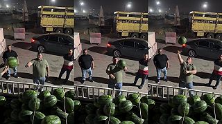 video Pupkáč to s melónmi veru vie