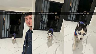 video Filmový prechod, z ktorého ti odstrelí dekel