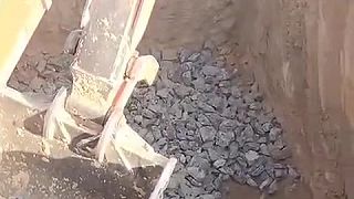 video Do hlbokého výkopu spadol diviak, vytiahol ho až bagrista