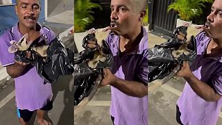 video Vraj vačice sú neškodné a neútočia, myslel si OGRGEĽ