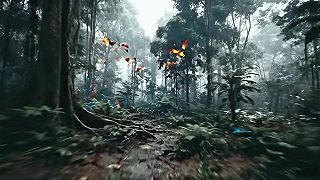 Sam Feldt x TAME - Lost In Desire