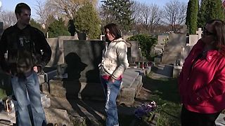 Mama ožeň ma TIBIKE devina pri hlave