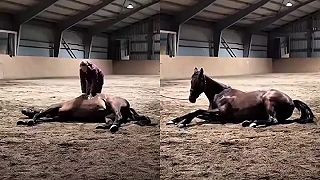 video Konský prd bolo počuť až vo vedľajšej dedine