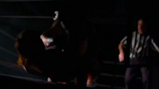 Dark side of the ring Brawl for all