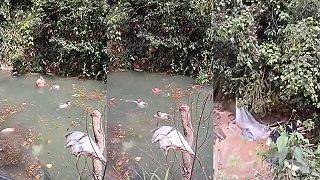 video Tučného Kolumbijčana po prietrži provizórnej hrádze zachránili, všetci prežili