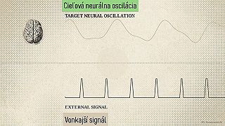 ☠︎︎ Hlas Do Lebky - V2K / č.2.