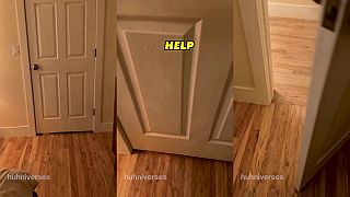 video Help! Help!