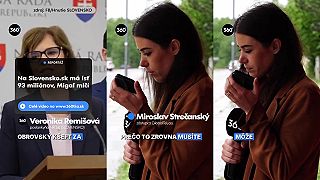 Samuel Migaľ a modernizácia portálu