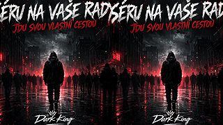 Seru na vaše rady (Jdu svou vlastní cestou)