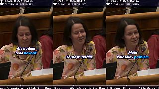 Zuzana Stevulova pomaly Ficovi
