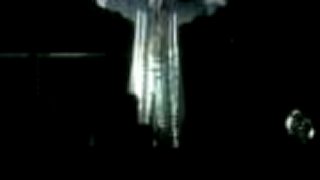 Rammstein - Wilder wien