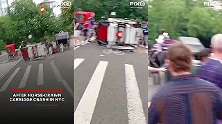 Nehoda koňom ťahaného vozu v newyorskom Central Parku, 1 osoba hospitalizovaná