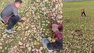 video Sýrske deti sa hrajú na poli s protitankovými mínami