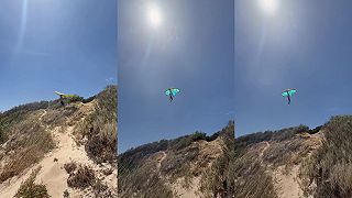 video Len skúsim, či fúka dobrý vietor na KITESURFING!