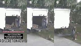 video Vyhodil chorého nemeckého ovčiaka, no zachytila ho kamera a teraz sedí vo väzbe