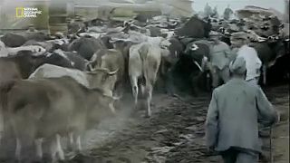 Apokalypsa 1. svetová vojna 3. časť