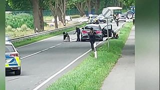 video Polícia zadržala podozrivého, ktorý mal v nemeckom Stade zastreliť 6 ľudí