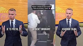 Nelegálny migrant vo Francúzsku znásilnil 5 kôz, aby nemusel znásilňovať ženy
