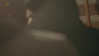 Pašerákům na stopě - Fentanyl (S01E02) - CZ dabing (dokument)