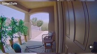 Muž s puškou AR-15 strieľal do dverí v Las Vegas, po zadržaní zomrel