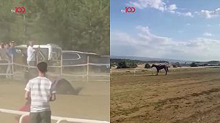 Kôň narazil do pretekárskeho konia: Oba zahynuli, jazdcovi sa nič nestalo