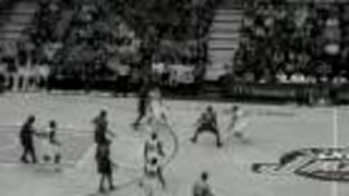 Deron Williams Crossover