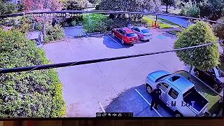 Vták útočí na policajta v Texase, ktorý sa snaží ubrániť pred neustálymi náletmi
