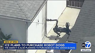 Imigračná služba plánuje kúpiť robotické psy s ramenami na kontrolu imigrantov