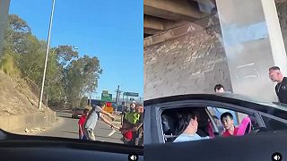 Muž v Sydney uniesol auto s deťmi, bodol chodca a uniesol ženu