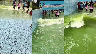 video Ak chcete nejakú slušnú infekciu, navštívte tento indický akvapark