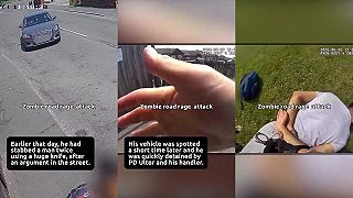 Muž odsúdený za bodnutie nožom v bitke, policajný pes ho chytil