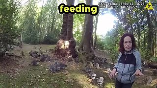 video 38 rokov kŕmi za domom medvedíky čistotné, teraz však zostala prekvapená
