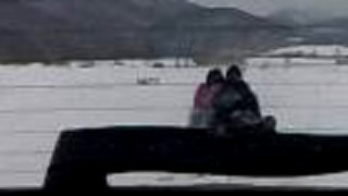 50km/h na sankach