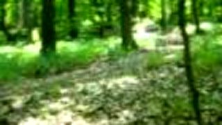 DOWNHILL HLOHOVEC - Papalová