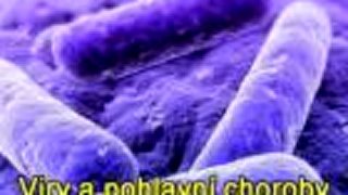 Neviazaný Sex - XXX