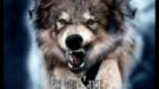 Sonata Artica - Wolf& Raven