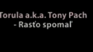 Torula rasto spomal