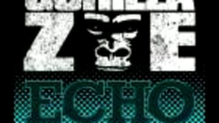 Gorilla Zoe - Echo
