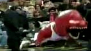 Raptors maskot