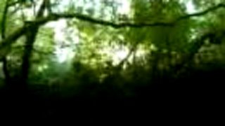 Minuscule - Lienka provokuje