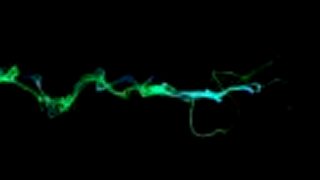Particles
