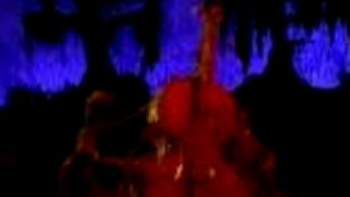 Rednex - The Devil Went Down To Georgia