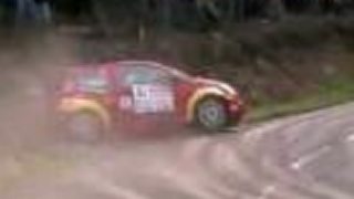 Rally nehody, auu