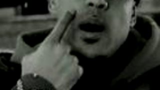BOOBA - Pitbull