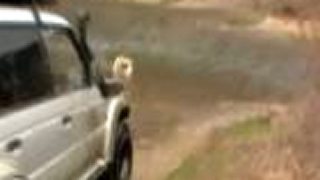 Offroad pajerko II